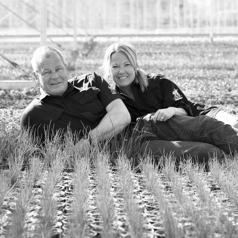 Entreprenörerna Mattias och Annika Svegin från Tågerups Trädgård