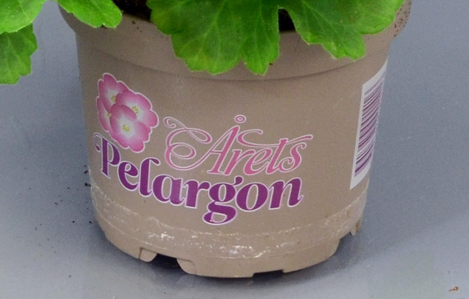 Årets Pelargon-kruka består av 100% återvunnen plastråvara