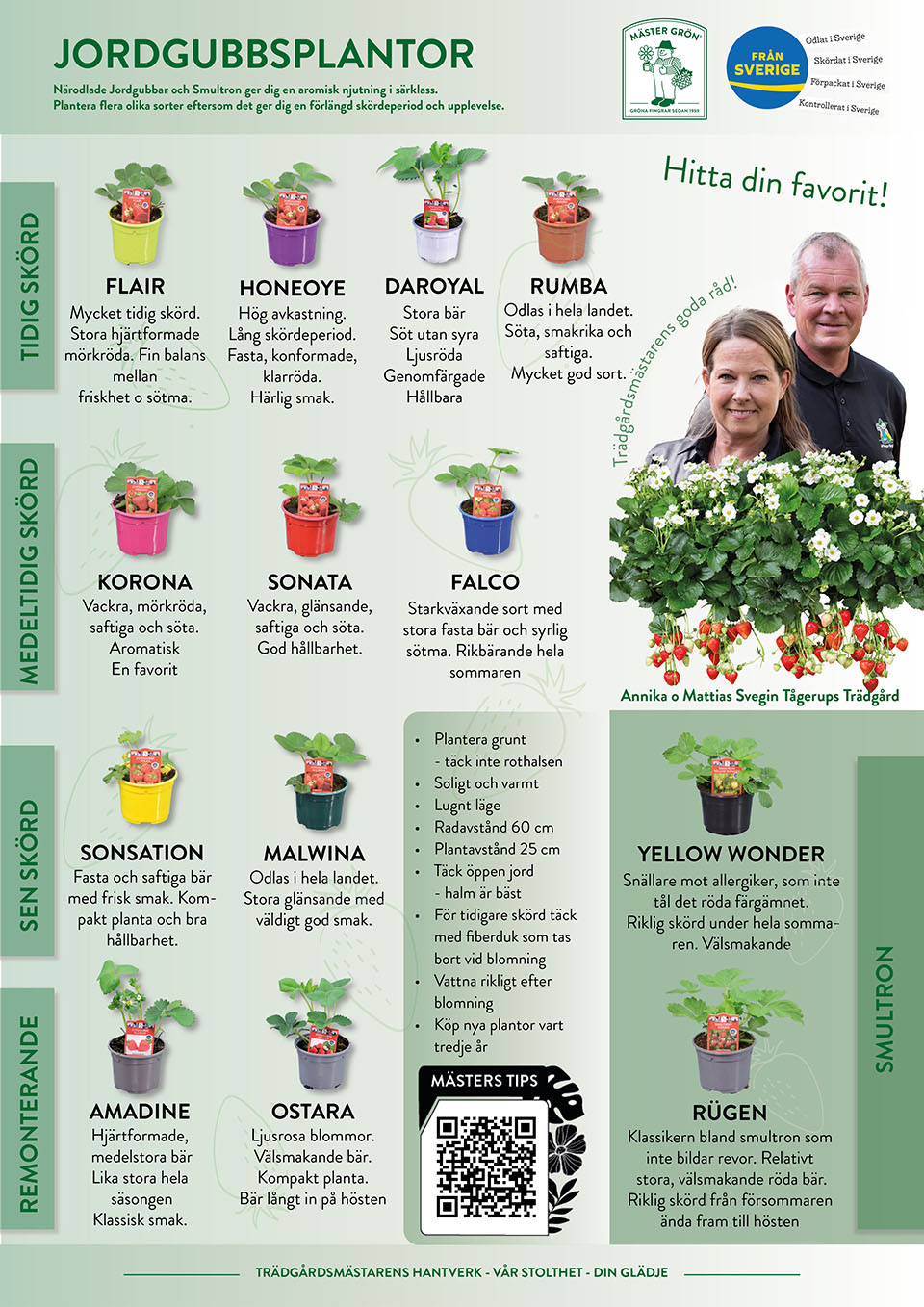 Jordgubbsskylt Tågerups Trädgård 960 (1)